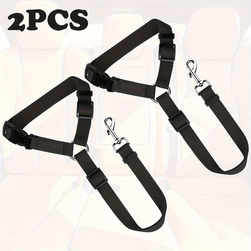 Two-Piece Dog Leash Set
