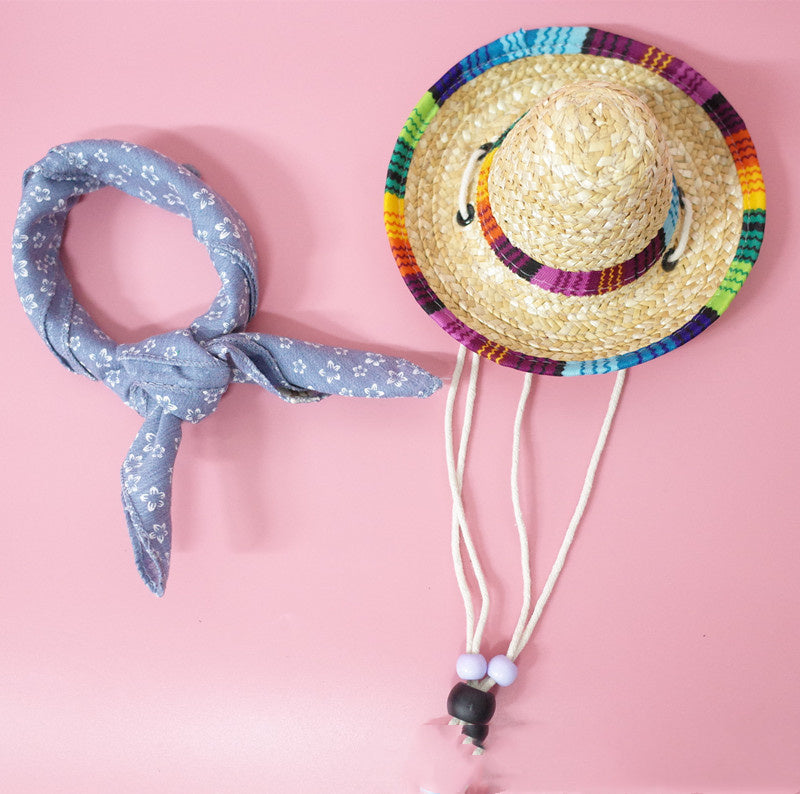 Pet Summer Outing Set