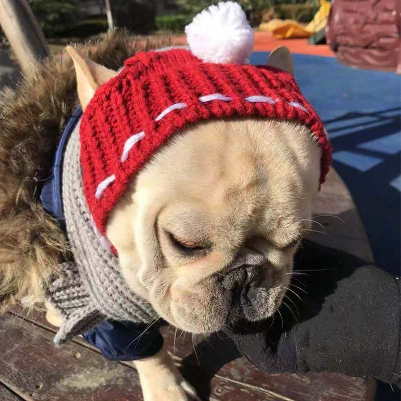 Funny Woolen Pet Hat