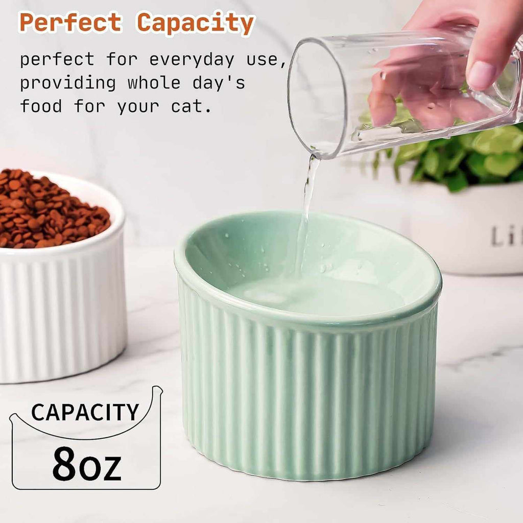 Elevated Cat Bowl