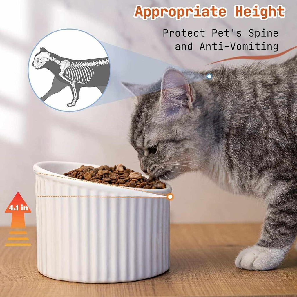 Elevated Cat Bowl