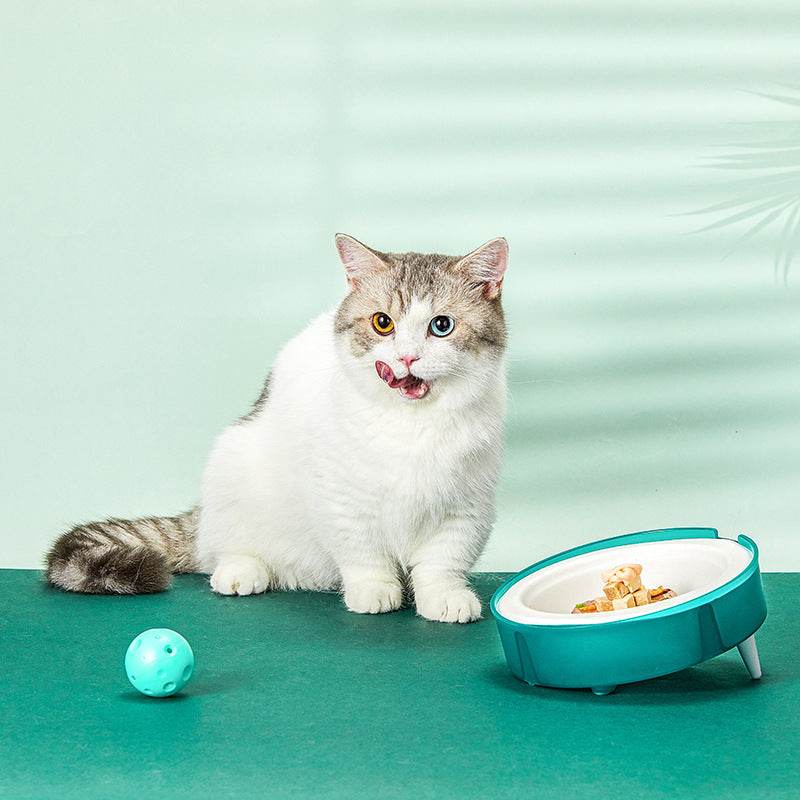 Disposable Pet Food Bowl