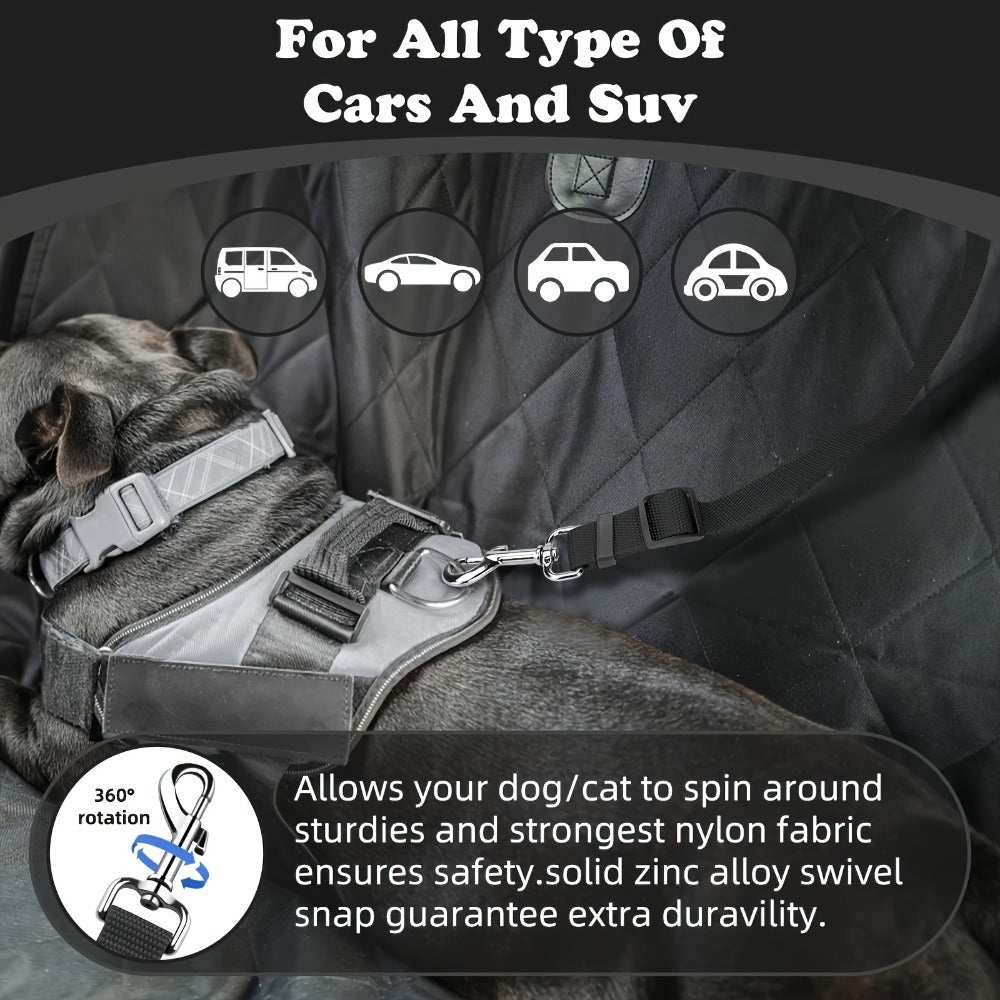 Two-Piece Dog Leash Set