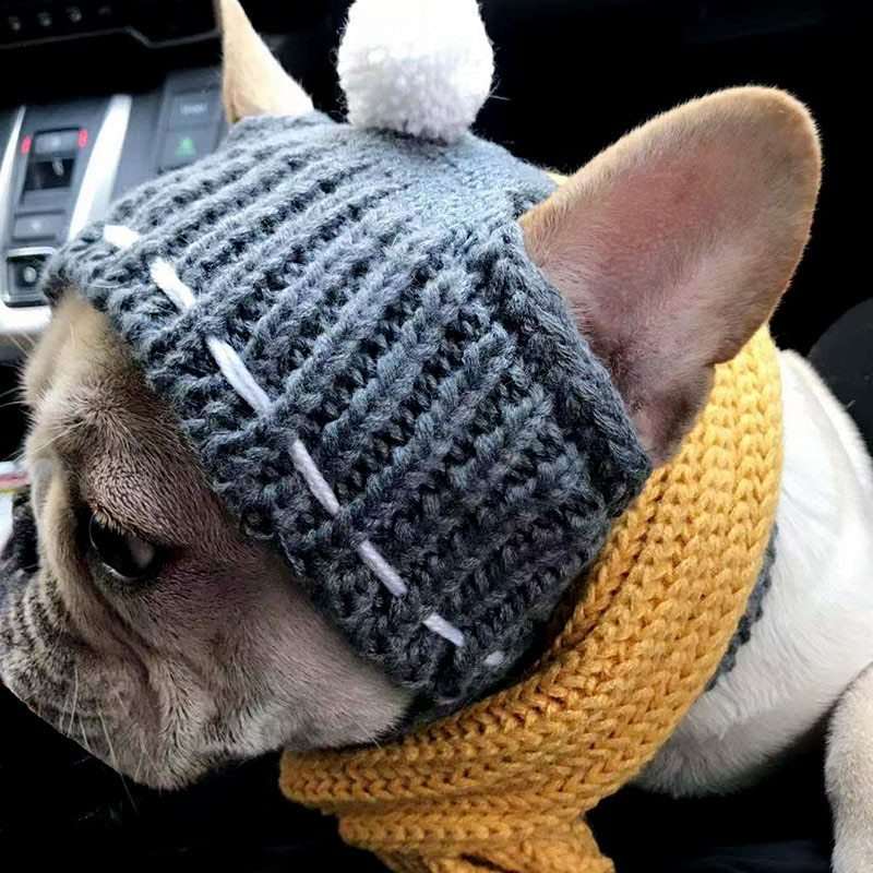 Funny Woolen Pet Hat