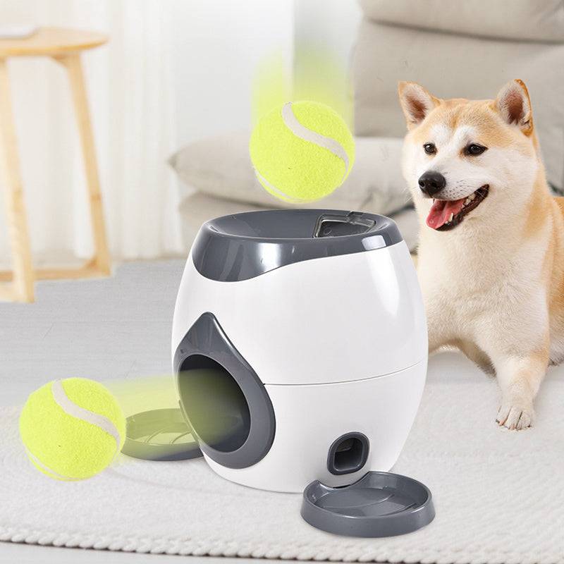 Smart Pet Food Leaking Toy