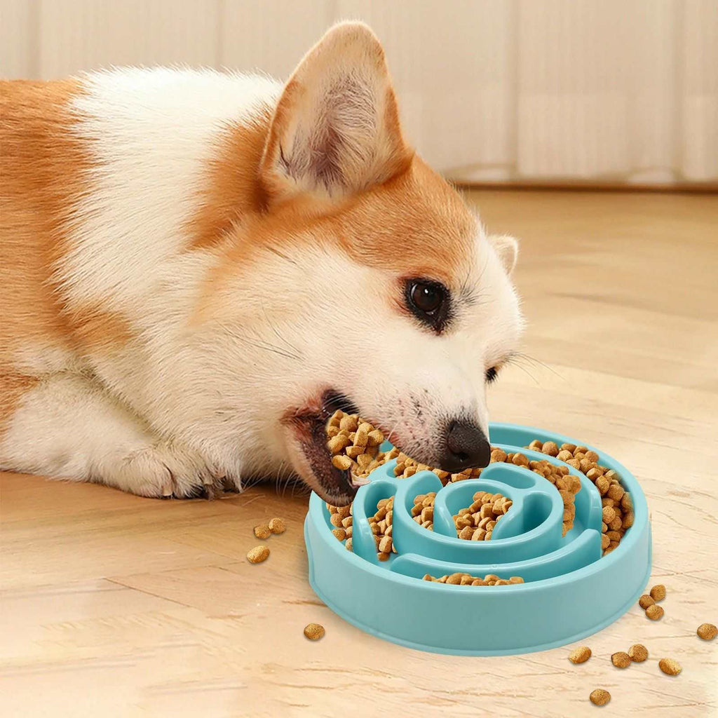 Pet Slow Feeder Bowl