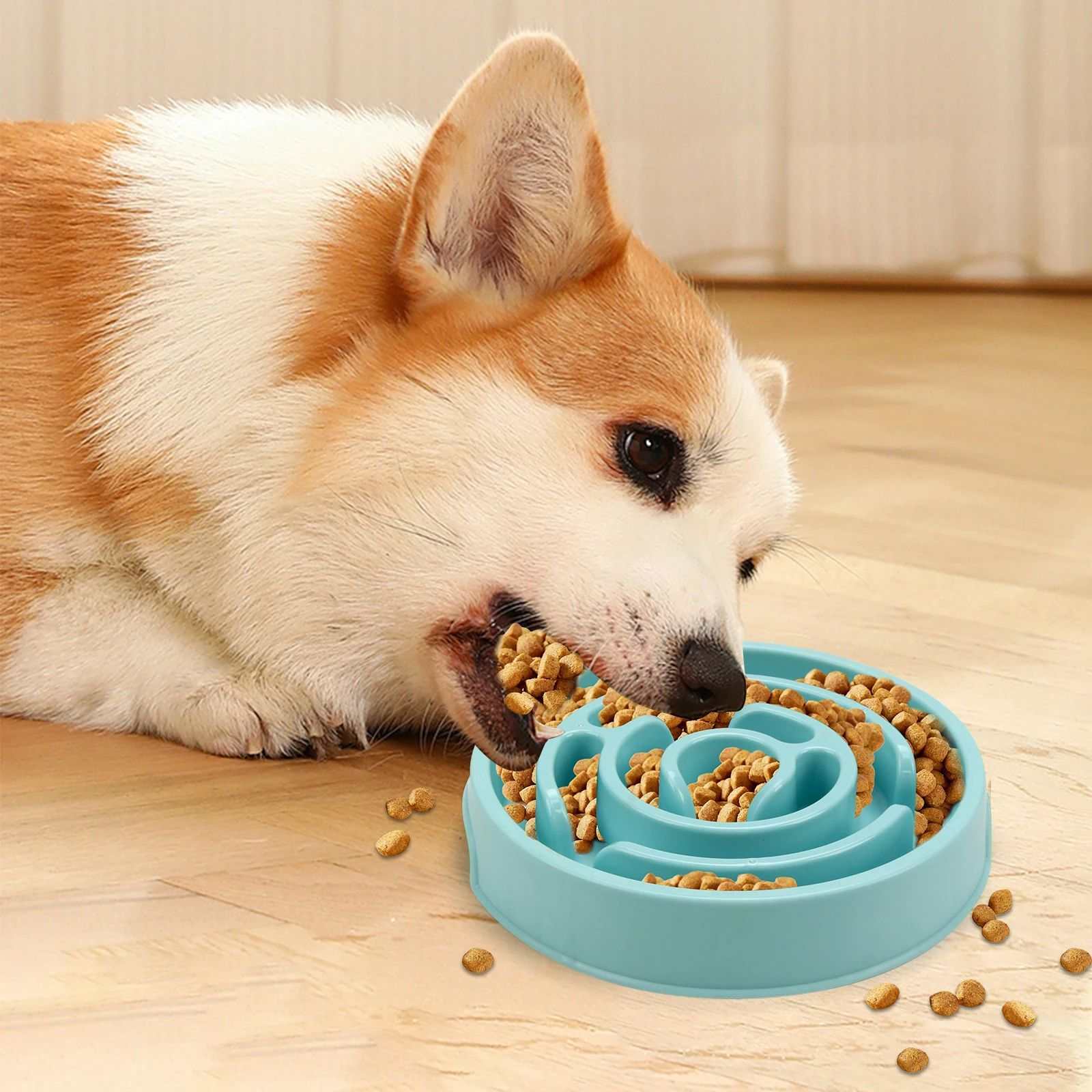 Pet Slow Feeder Bowl
