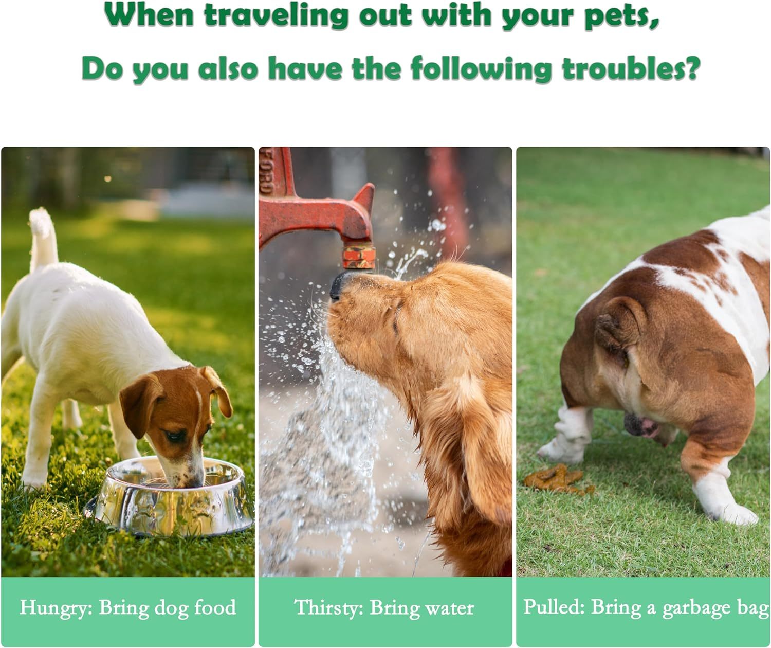 3-in-1 Portable Pet Water Bottle