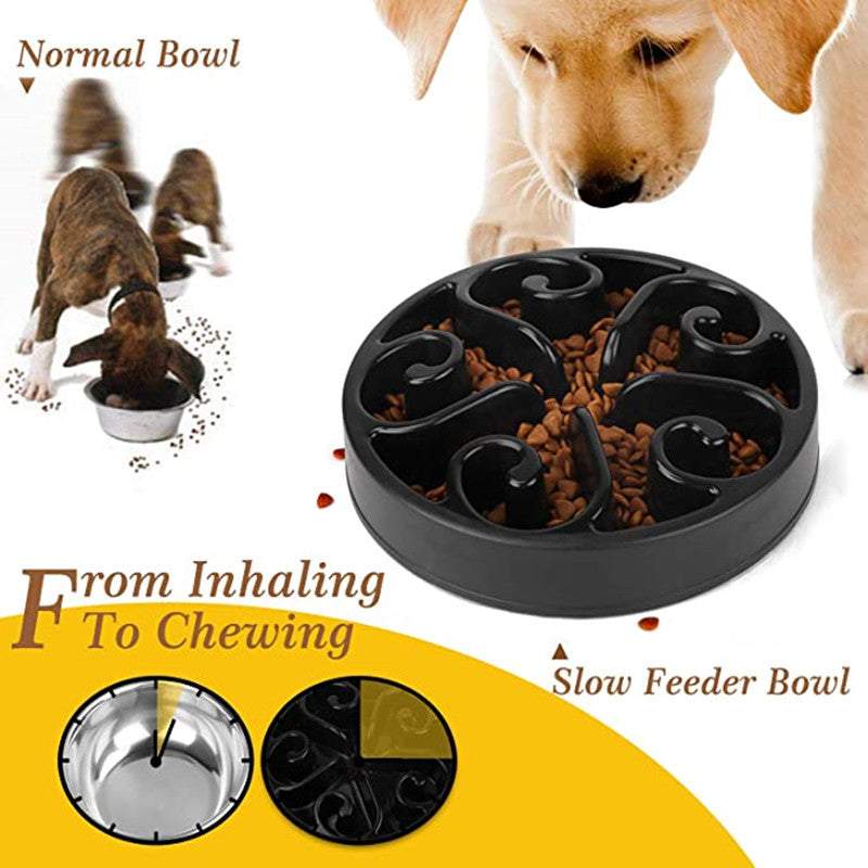 Pet Slow Feeder Bowl