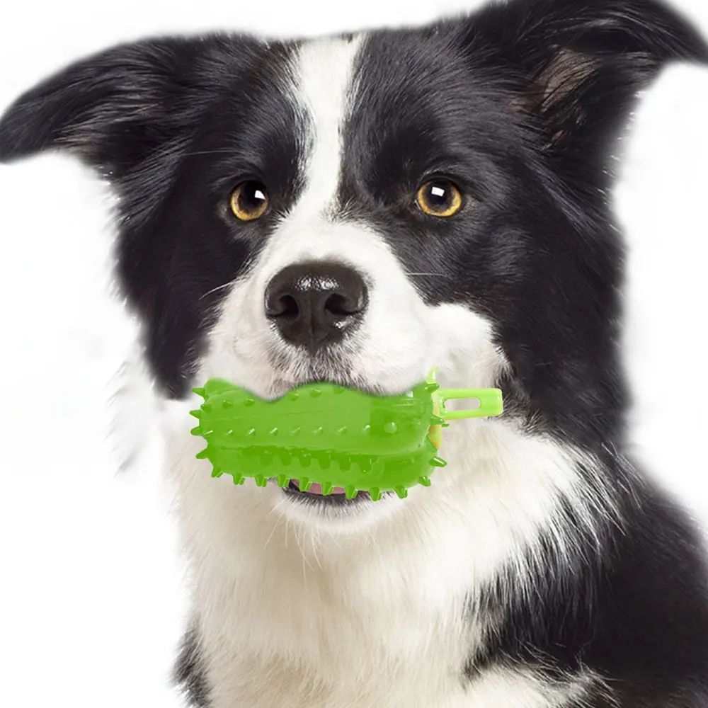 Interactive Dog Teething Toy