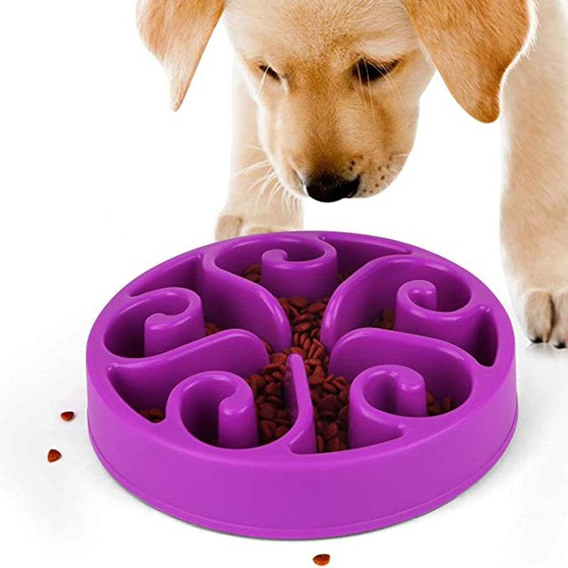 Pet Slow Feeder Bowl