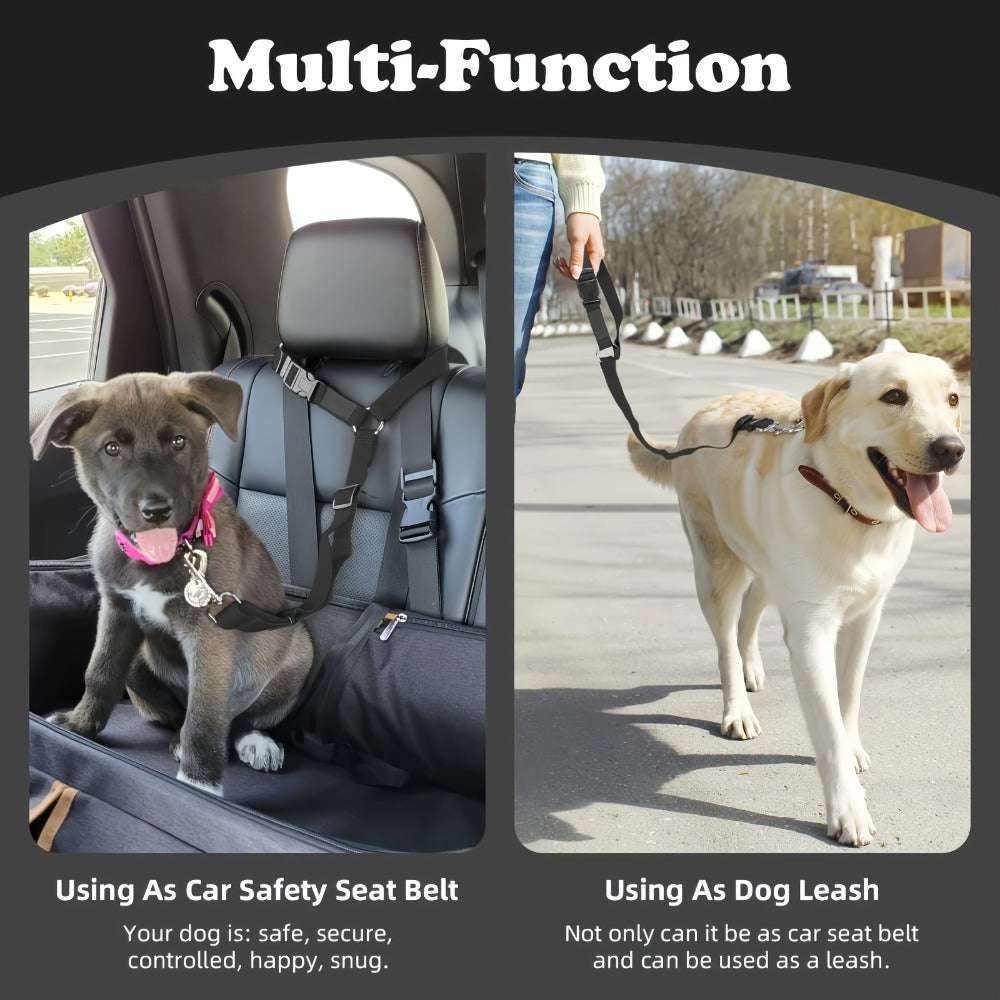 Two-Piece Dog Leash Set