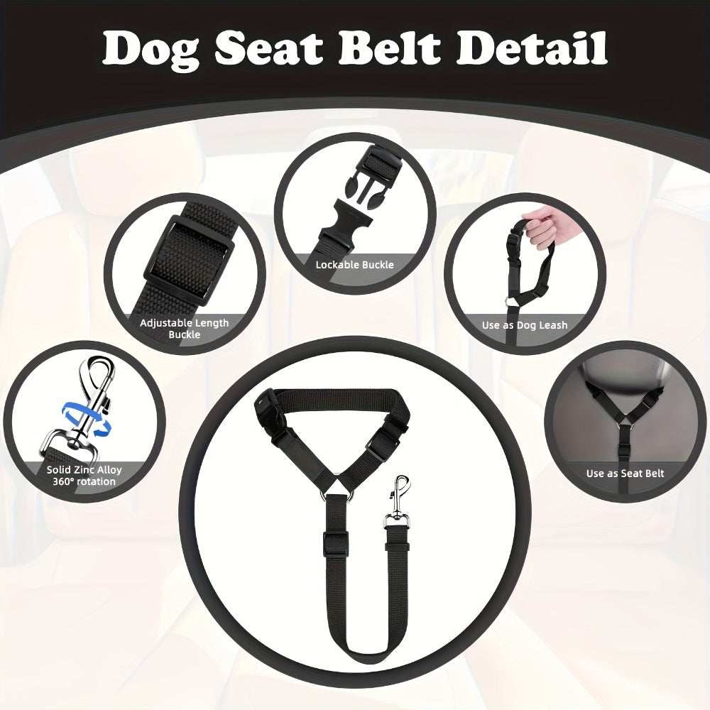 Two-Piece Dog Leash Set