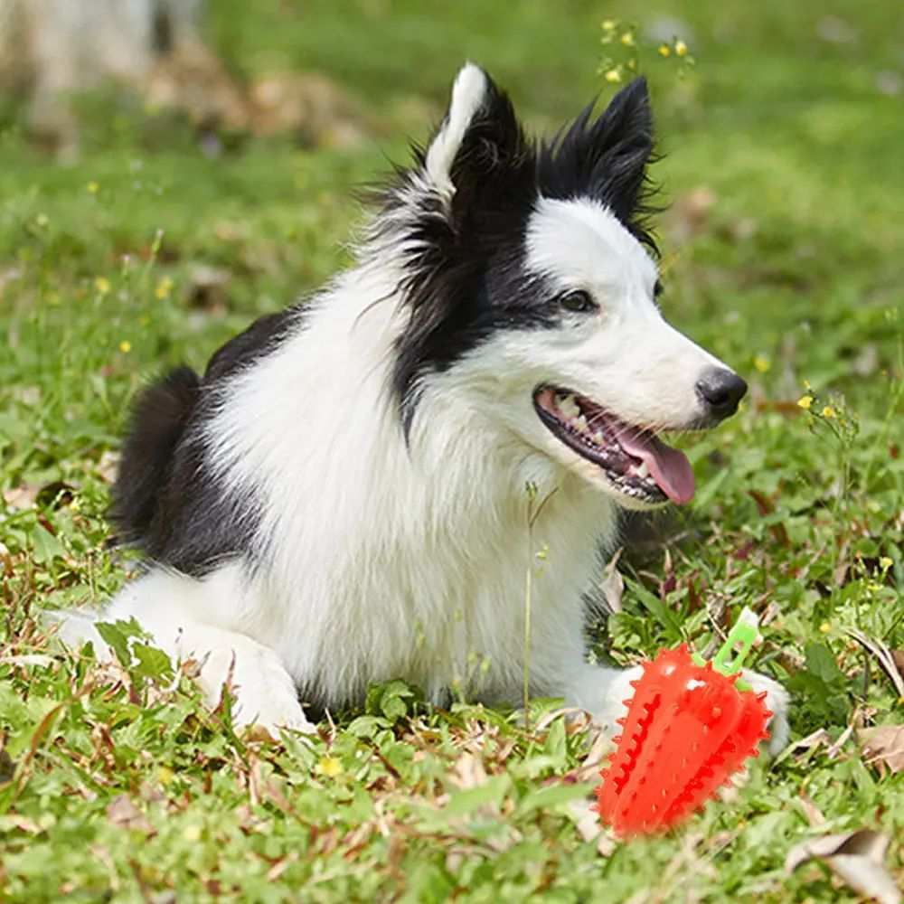 Interactive Dog Teething Toy