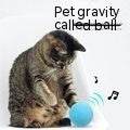 Automatic Dog Food Feeder