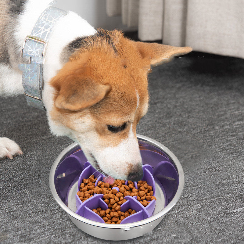 Anti-Spill Pet Bowl